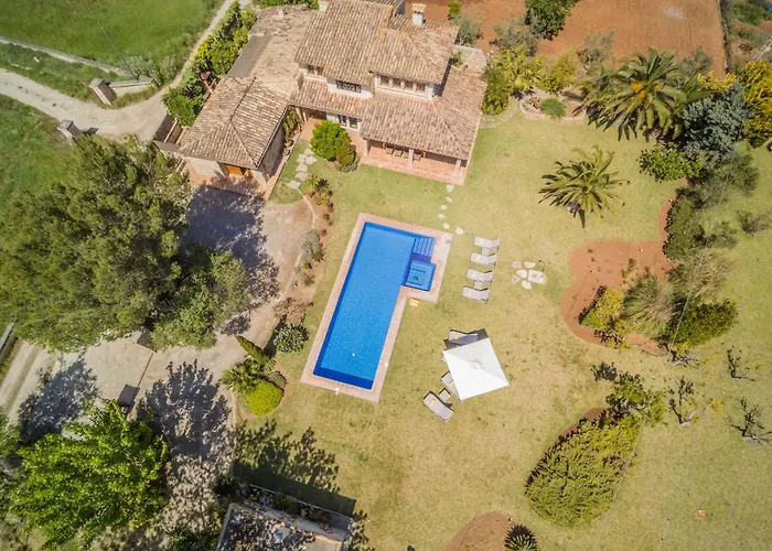 Cal Moliner By Sealand *